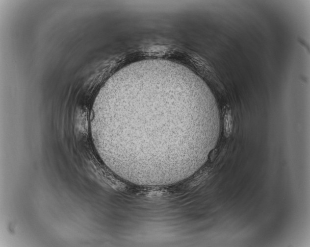 X0000102381204200808221754