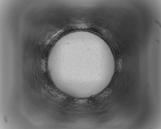 X0000102381205200808221754