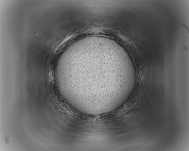 X0000102381206200808221754