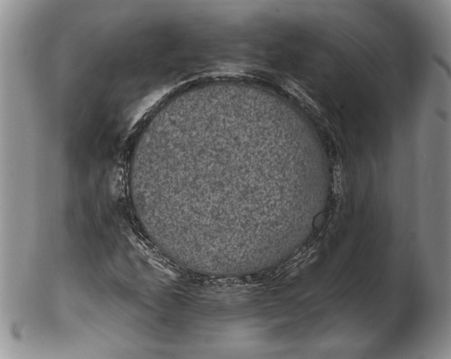 X0000102381208200808221754