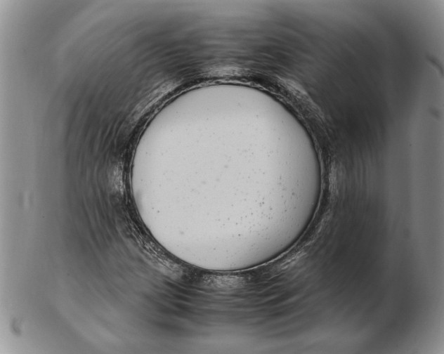 X0000102381209200808221754