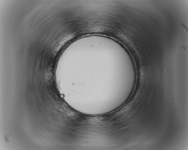 X0000102381210200808221754