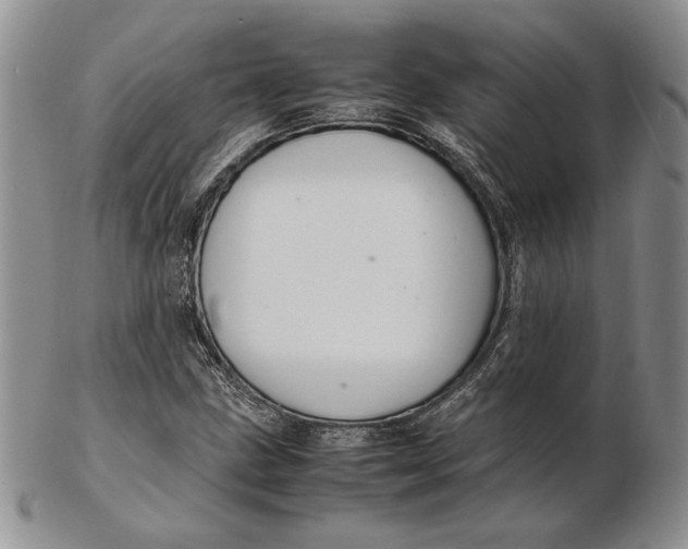 X0000102381211200808221754