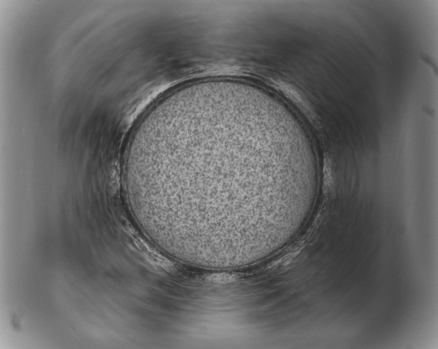 X0000102381212200808221754