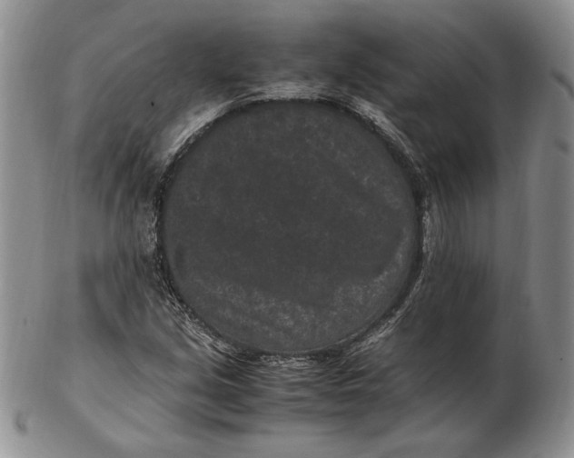 X0000102381213200808221754