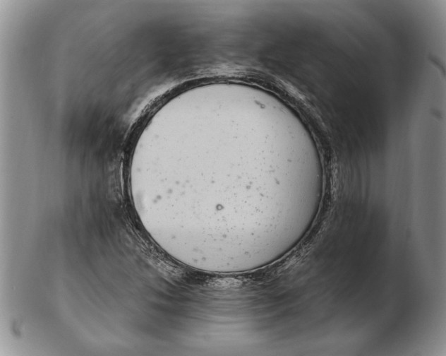 X0000102381214200808221754