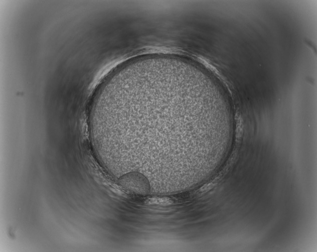 X0000102381215200808221754