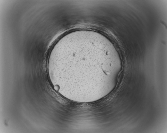 X0000102381216200808221754