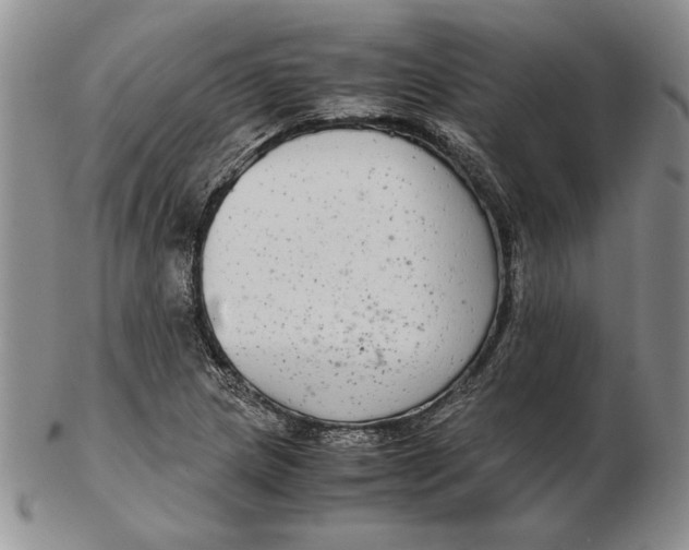 X0000102381217200808221754