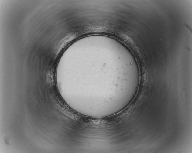 X0000102381218200808221754