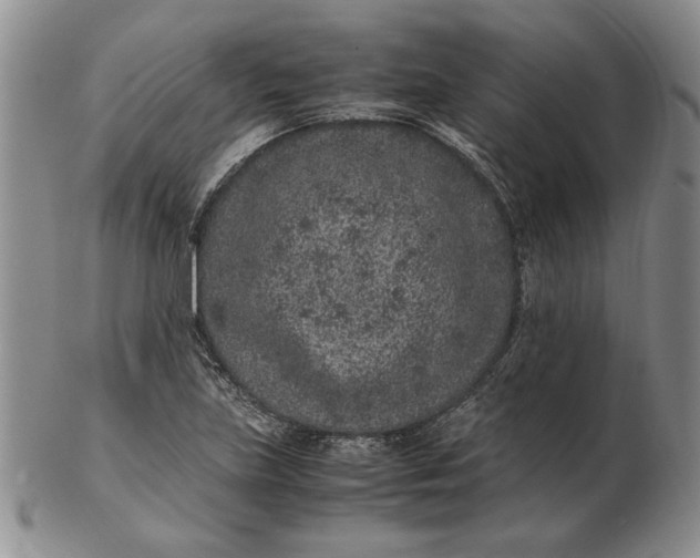 X0000102381219200808221754