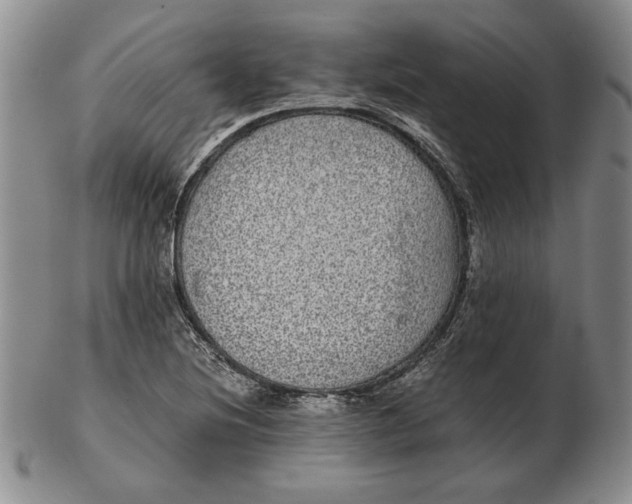 X0000102381220200808221754