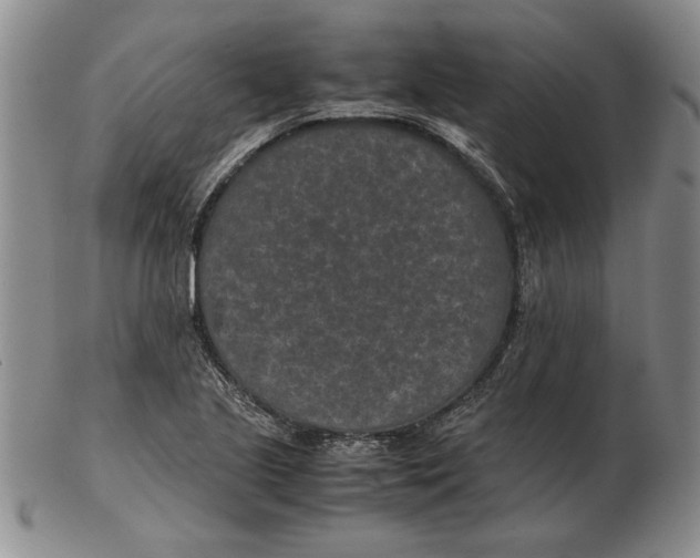 X0000102381221200808221754