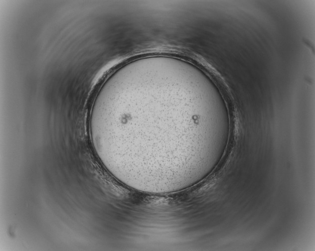 X0000102381222200808221754