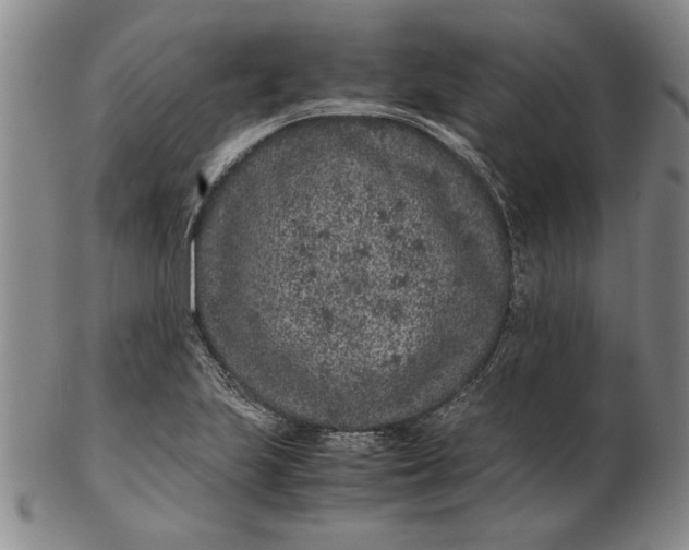 X0000102381223200808221754