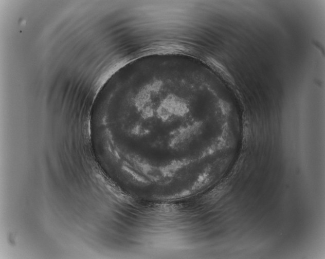 X0000102381226200808221754