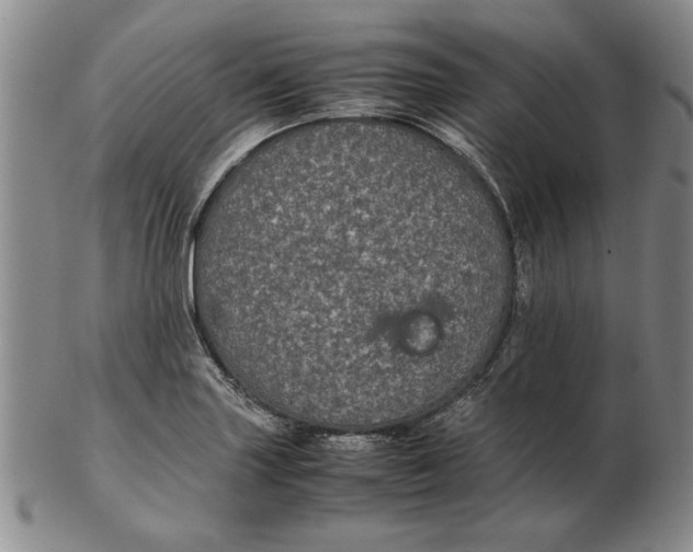 X0000102381227200808221754