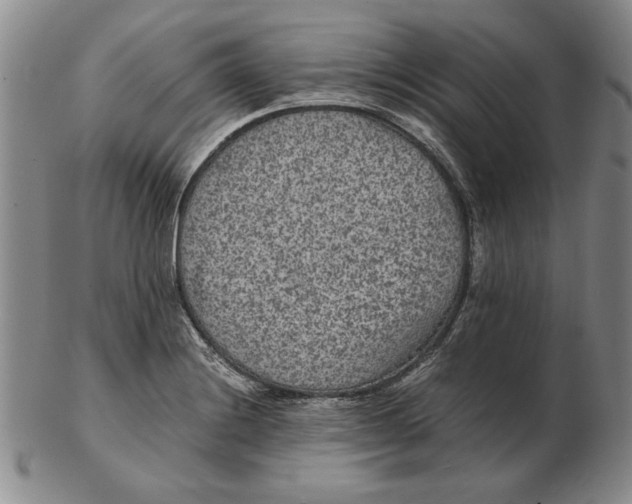 X0000102381228200808221754