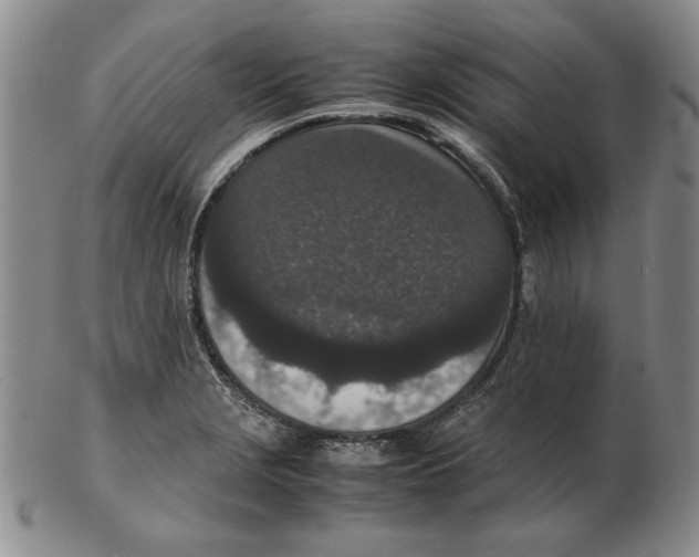 X0000102381229200808221754