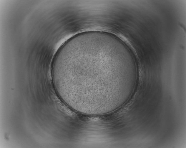 X0000102381230200808221755