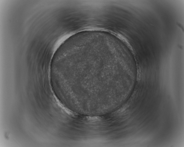 X0000102381231200808221755