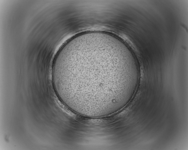 X0000102381232200808221755