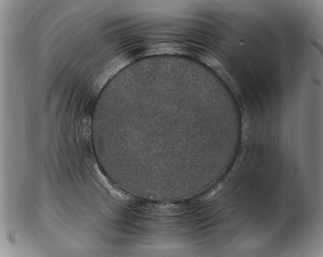 X0000102381233200808221755