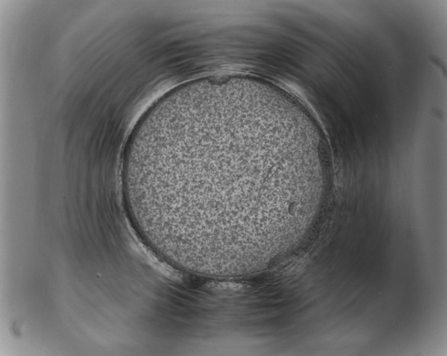 X0000102381235200808221755