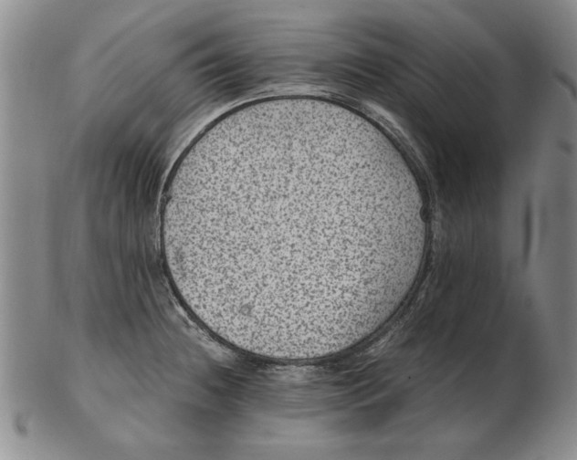 X0000102381236200808221755