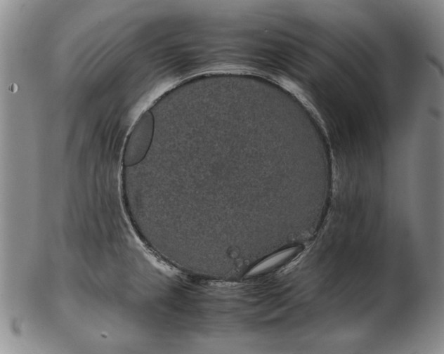 X0000102381237200808221755