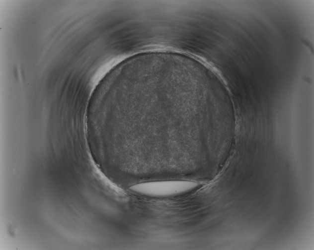 X0000102381239200808221755