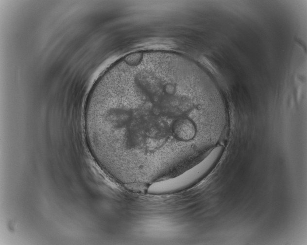 X0000102381240200808221755