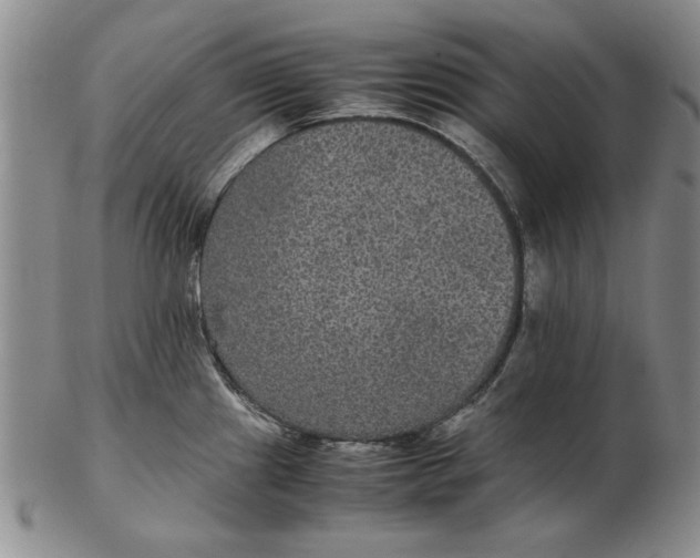 X0000102381241200808221755