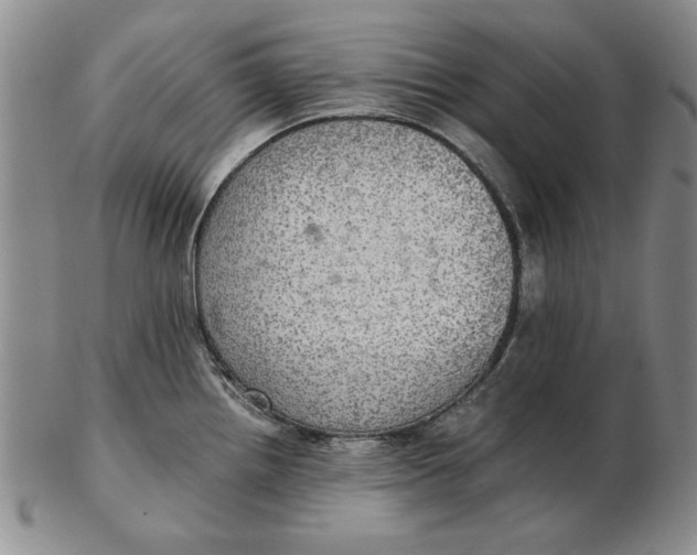 X0000102381242200808221755