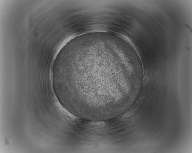 X0000102381243200808221755