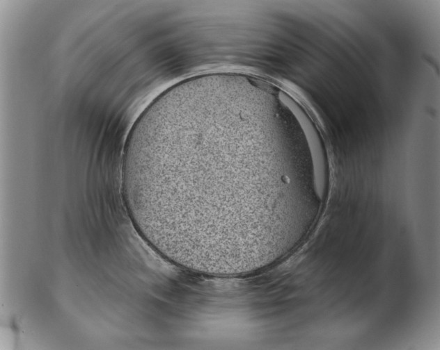 X0000102381244200808221755