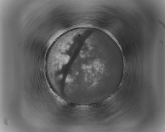 X0000102381245200808221755