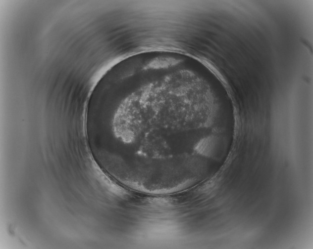 X0000102381246200808221755