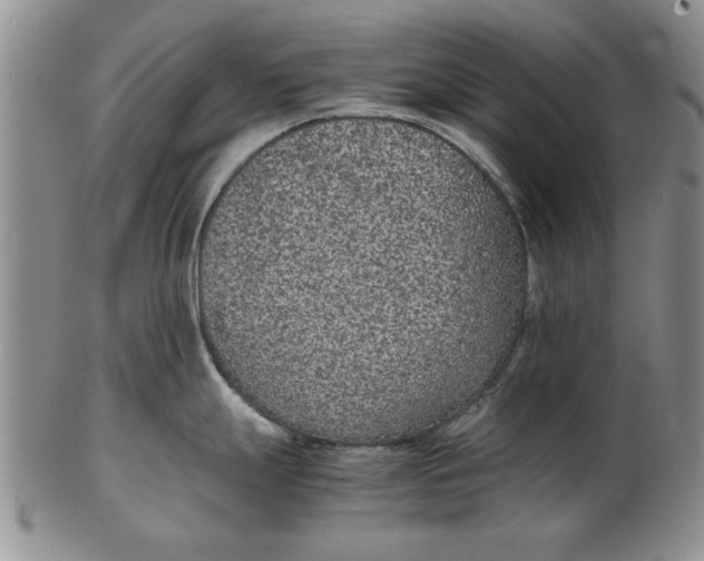 X0000102381247200808221755