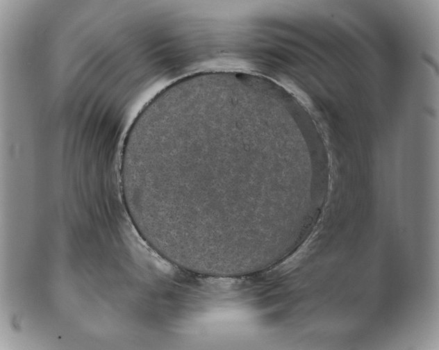 X0000102381248200808221755