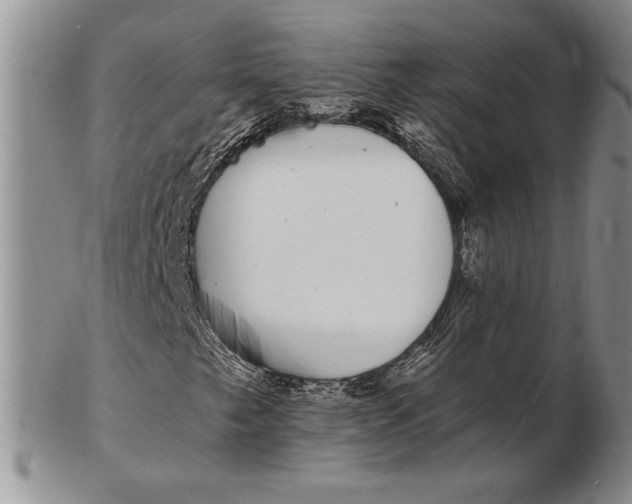 X0000102381249200808221754