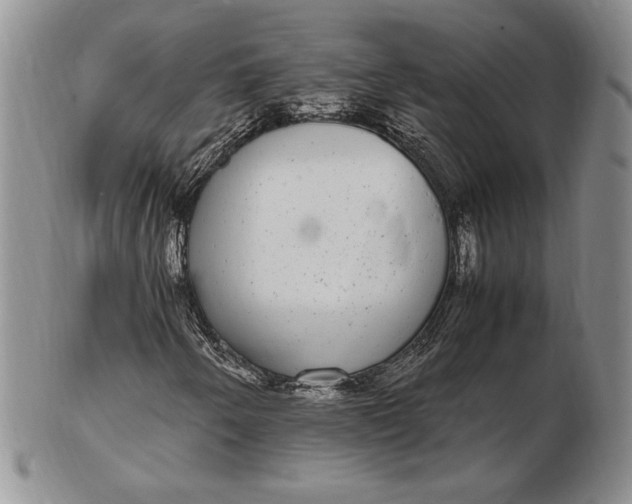 X0000102381250200808221754