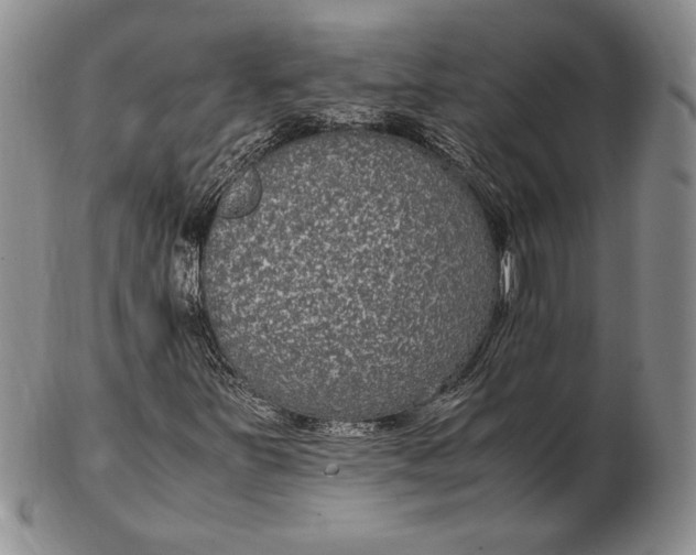 X0000102381251200808221754