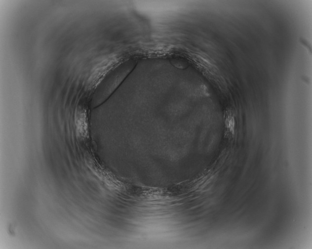 X0000102381252200808221754