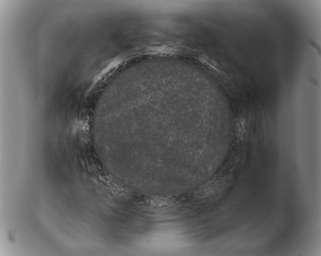 X0000102381254200808221754