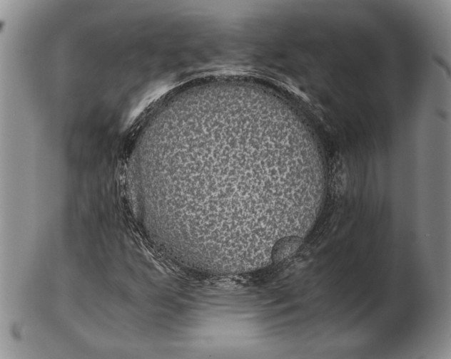 X0000102381255200808221754