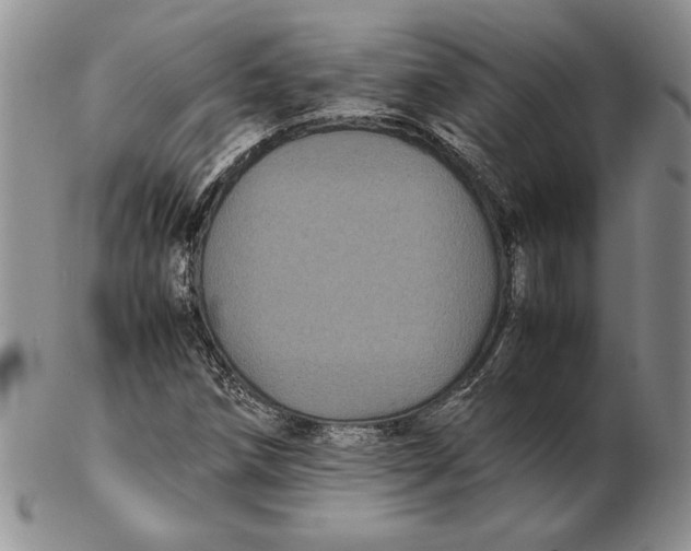 X0000102381258200808221754