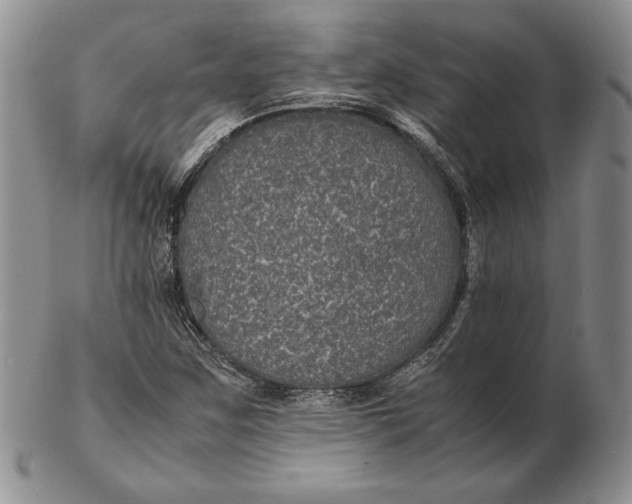 X0000102381259200808221754