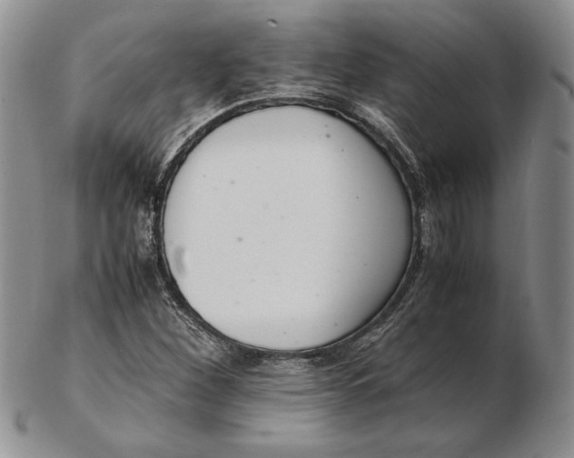 X0000102381260200808221754