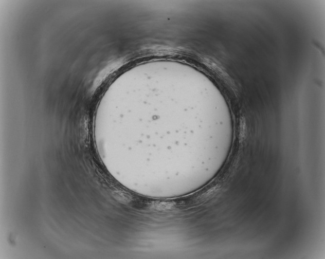 X0000102381261200808221754